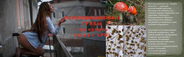 соль курить ск Алексин