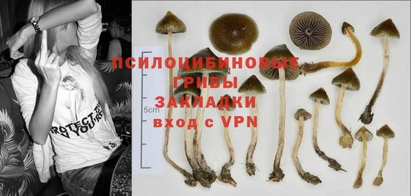 винт Алзамай